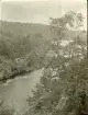 Älvkarlebyfallen innan älven dämdes upp, omkring år 1906 (enligt text i album).