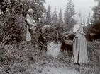 Värmland. Jösse härad. Mangskogs socken. Bjurbäcken. Enbärsrepning. Foto N. Keyland 1911. E.U.28499. N.M. 58 volym 3, Mältning och brygd.