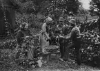 Halland. Humleplockning. Foto efter foto Konstnär Severin Nilson. E.U. 4000. N.M. 58 Mältning och brygd vol. 1