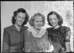 Ateljé Mira. Beställare: Fru Gunvor Alfredsson