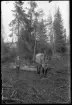 Knut Johansson kör timmer