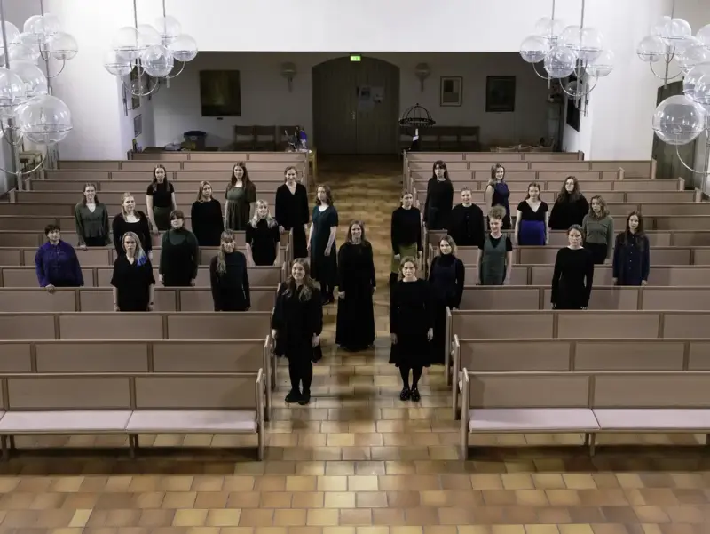 Bildet av Vokal vivo