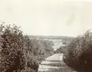 Vy från en väg med utsikt över Älvkarleby kraftverk i bakgrunden, omkring 1906 (enligt text i album).