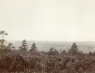 Vy över landsbygden vid Älvkarleby, omkring 1906 (enligt text i album).