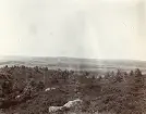 Vy över landsbygden vid Älvkarleby, omkring 1906 (enligt text i album).