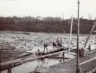 Arbetet med tillfälliga fångdammar som byggdes för att torrlägga älvfåran vid byggandet av Älvkarleby kraftverk, omkring 1906 (enligt text i album).