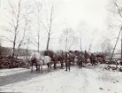 Hästtransport av tunga delar till kraftverksbygget av Älvkarleby kraftverk, omkring 1906 (enligt text i album).