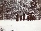 Ett sällskap med män och kvinnor på en promenadstig med skog i bakgrunden, troligen i Älvkarleby, omkring 1906 (enligt text i album).
