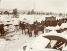 Hästtransport av tunga delar till kraftverksbygget av Älvkarleby kraftverk, omkring 1906 (enligt text i album).