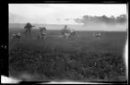 1920-talskrigarna under framryckning i fält.