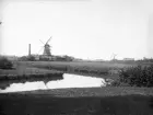 Ett lantligt motiv som med extern hjälp nära rakt mot kan placeras i centrala Malmö. Kungsparken med vy mot Slottsmöllan till Malmöhus slott.
Anm: Vi reserverar oss för angiven fotograf.