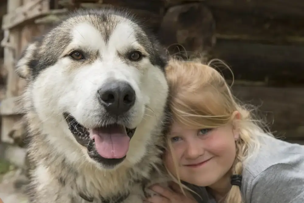 En smilende jente sammen med en stor grå og hvit hund under De nordiske jakt- og fiskedagene på Elverumsutstillingen.