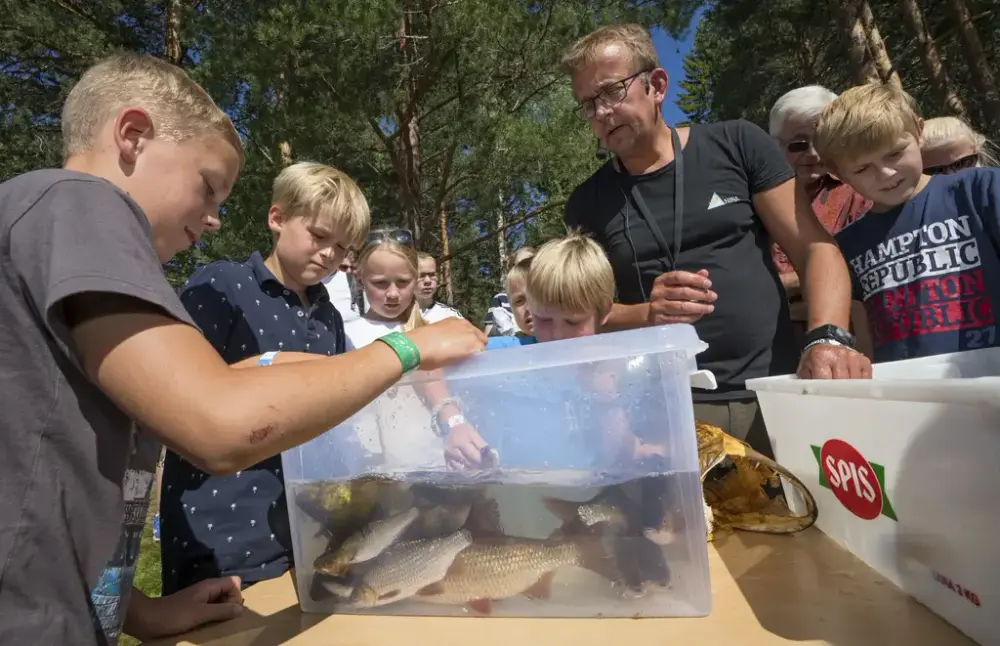 Barn ser på levende fisk i vannkar under De nordiske jakt- og fiskedagene.