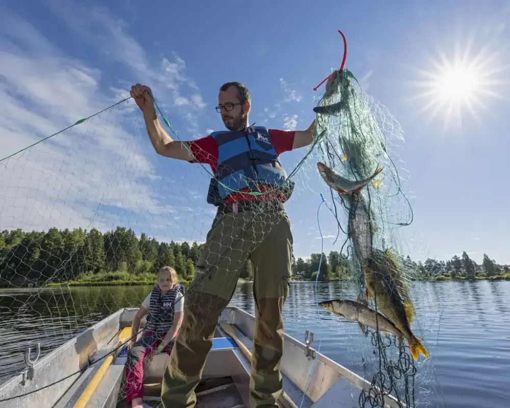 En mann i båt drar opp et fiskegarn med fisk under De nordiske jakt- og fiskedagene.