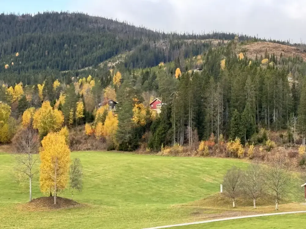Gravhauger på jorde