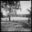 ELLA GÅRD
TOMTOMRÅDE