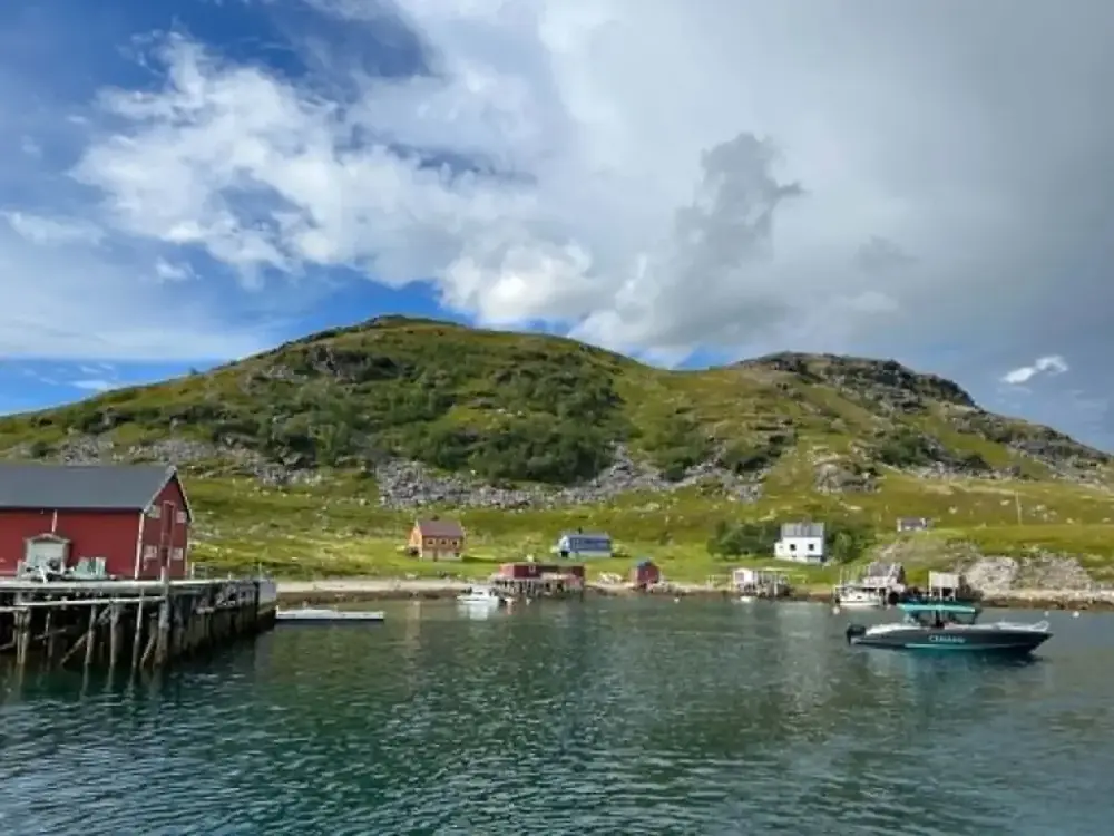 Ryggefjord Kai