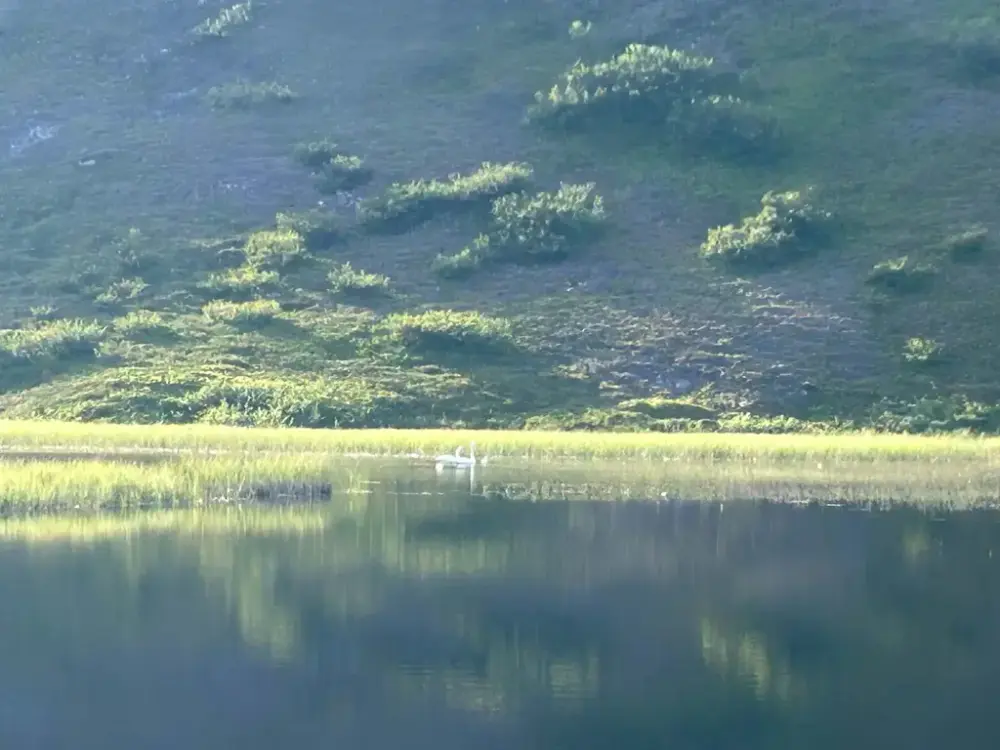Sjåvikvannet på Måsøya