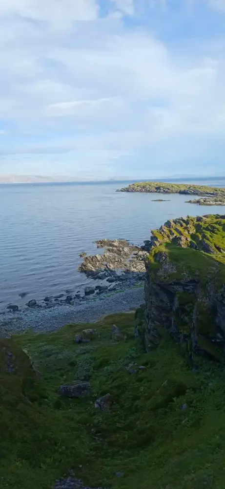 Måsøya