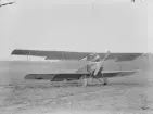 Flygplan SW 12 (Albatros B II), uppställt på ett flygfält, 1917. Vy framifrån.