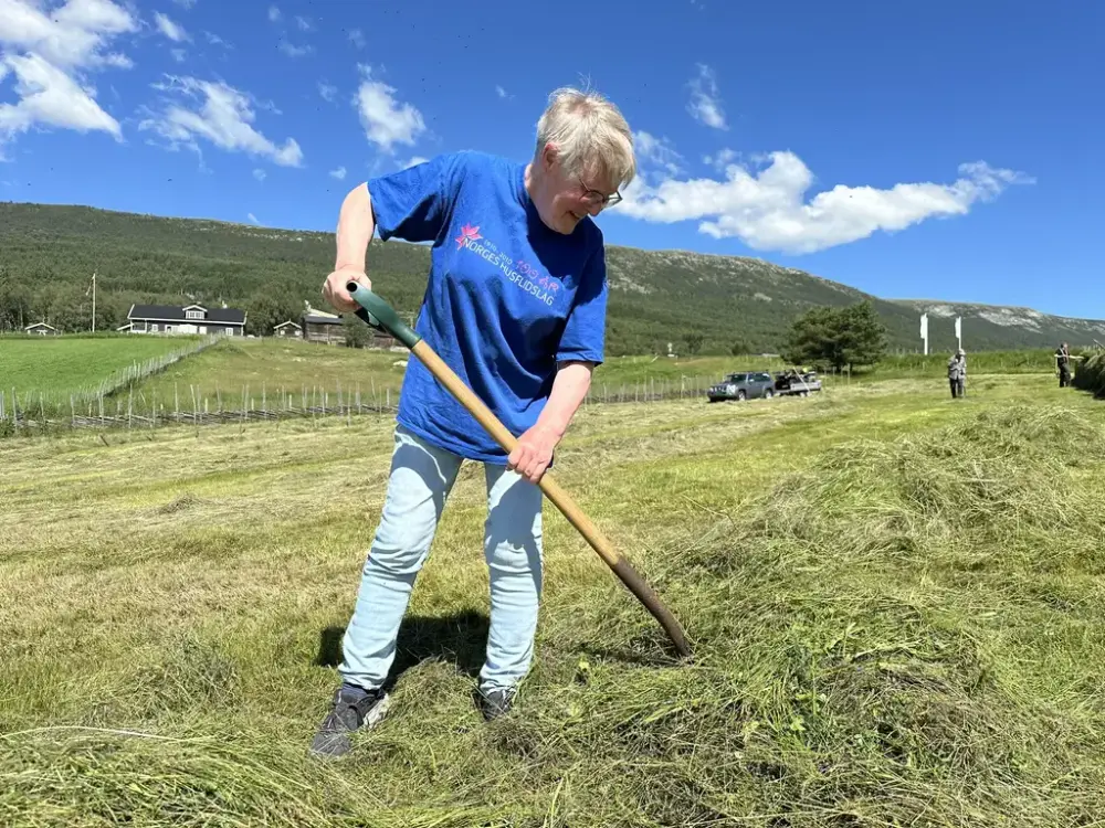 Slåttedag på Lesja bygdemuseum