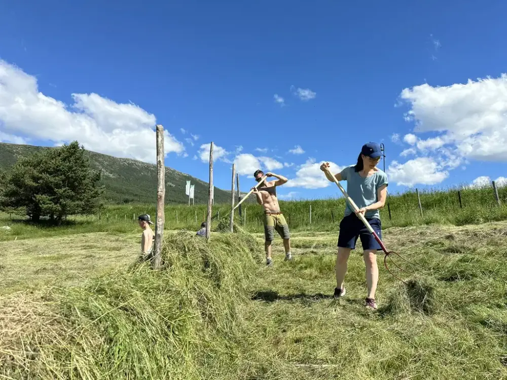 Slåttedag på Lesja bygdemuseum
