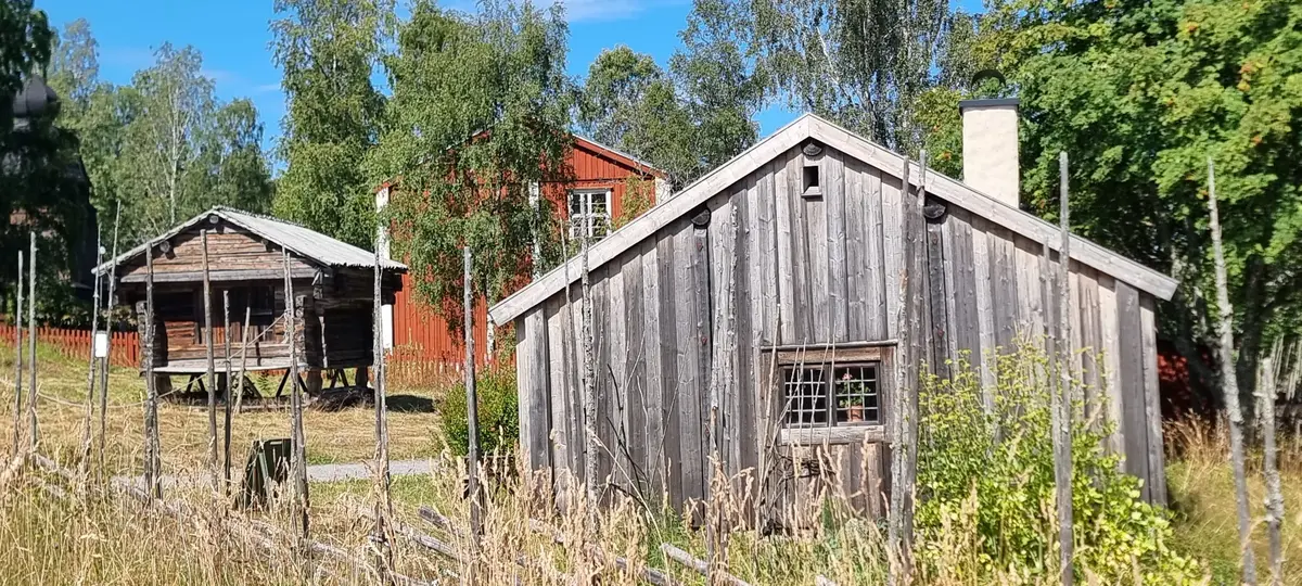 En sommardag på Murberget friluftsmuseum, i förgrunden torpet, i bakgrunden skolan, klockstapeln och ett härbre