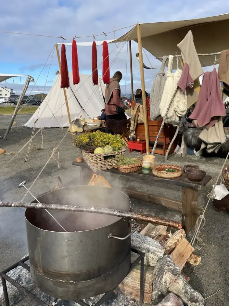 Plantefarging under Finnmark Vikingtidsfestival