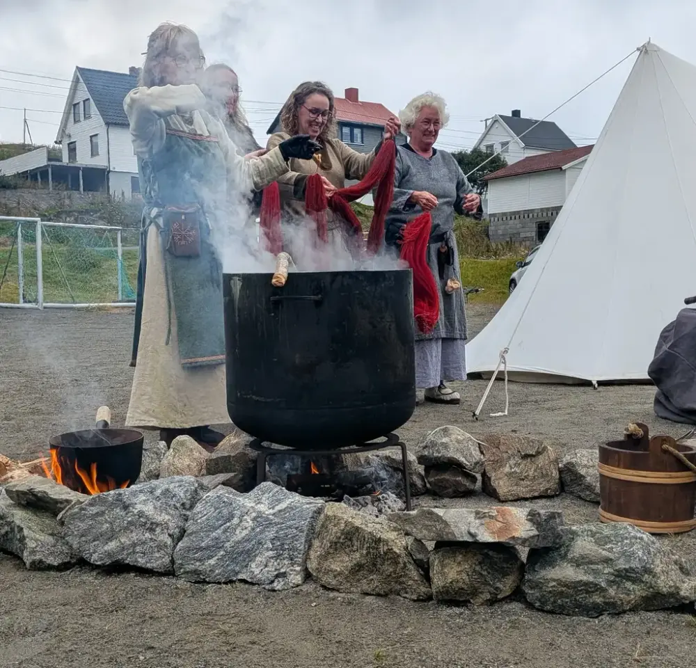 Plantefarging i vikingleiren