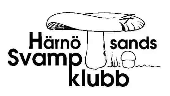 En teckning av en större och en mindre svamp, med text runtom.