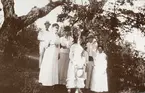 En grupp sommarklädda personer har samlats i en trädgård för fotografen.
Trol. Ruth och Blenda Svensson med mor Helga, mostrar, fastrar och andra släktingar. Den unge mannen i bakgrunden kan möjl. vara Seved Svensson, äldre bror till Ruth och Blenda.