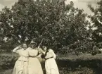 Tre unga kvinnor i sommarkläder under ett äppelträd i en trädgård.
Ruth Svensson (mitten) med väninnor.