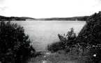 Vy över okänd sjö förmodligen i Värmland.