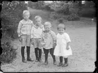Fotografi i serie för identifiering av motiv ur A C Hultgrens fotosamling.