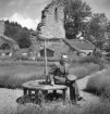 Man vid Alvastra klosterruin