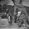 Sällskap vid Alvastra klosterruin
