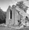 Alvastra klosterruin