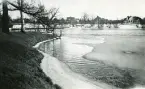 Från stadsträdgården i Gävle 1944 (enligt text i album).