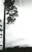 Aftonbild (enligt text i album).