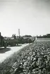 Brigadövning. Beredskap i Skåne 1944 (enligt text i album).