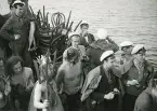 Sjömanöver 1946. 
