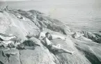 Solbad på klippa. Hultin och Lindwall, Sandhamn juli 1946 (enligt text i album).