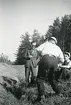 Sjömanöver 1946. 