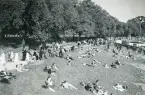 Strandkanten vid Hampton Court, England 1947(enligt text i album).