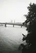 London med Westminster bridge i bakgrunden 1948 (enligt text i album).