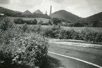 Wales 1948 (enligt text i album). Bilden visar troligen ett kolgruveområde i bakgrunden med slagghögar av gruvavfall som ser ut som berg, under efterkrigstiden. (källa: Wikipedia)