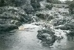 Wales 1948 (enligt text i album).