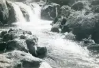 Wales 1948 (enligt text i album).