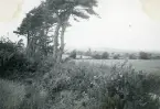 Irländskt landskap 1948 (enligt text i album).