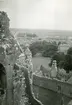 Rock of Cashel, Irland 1948 (enligt text i album).